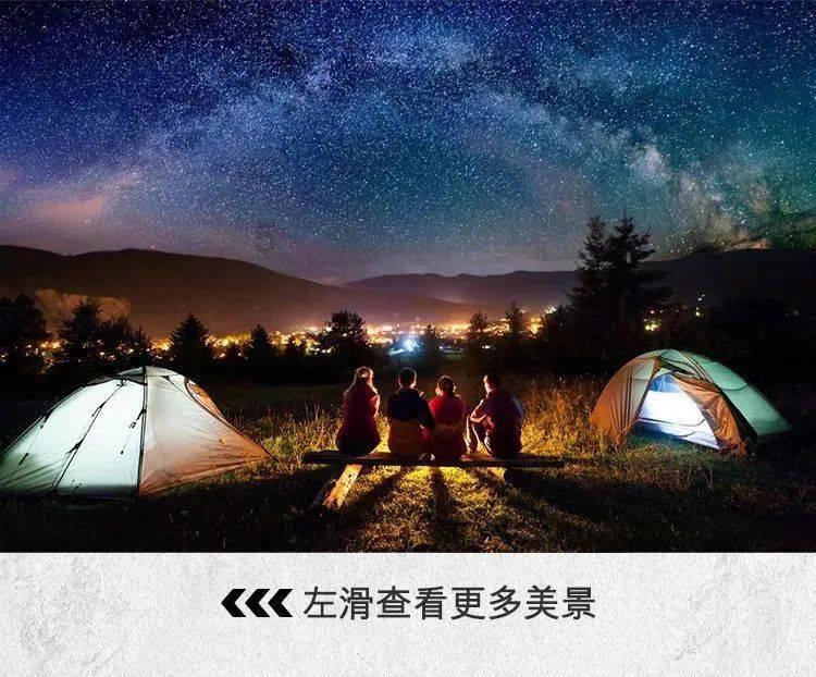 小猫钓鱼正版下载中文版