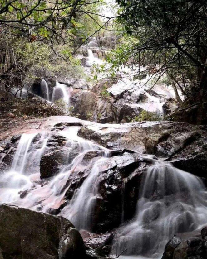 春雨直播app