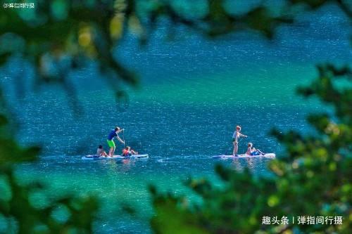 虫虫助手下载